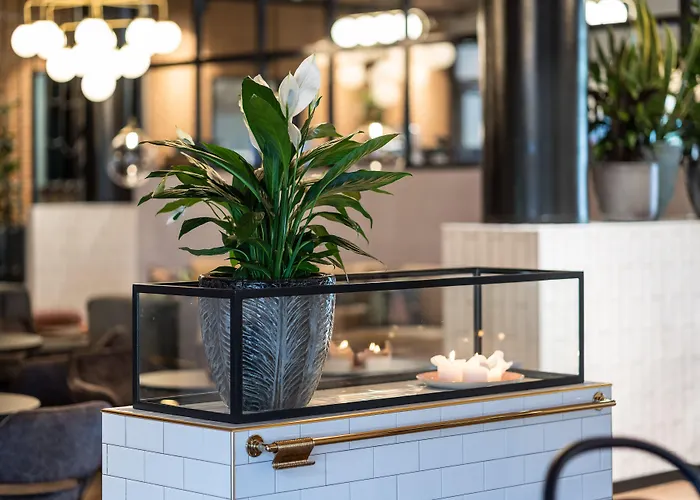 Original Sokos Vaakuna